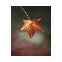 "Turning Point" by Tom Norr posters