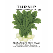 Turnip Shogoin Japanese Salad, Roudabush's Seed St t-shirts by vintagegiftmall Turnip Shogoin Japanese Salad, Roudabush's Seed St t-shirts
