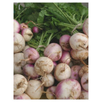Turnips letterhead by lakeerieartists Turnips letterhead