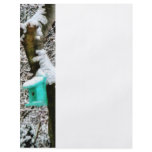 Turquoise Birdhouse in Winter Flyer