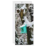 Turquoise Birdhouse in Winter Full Color Rack Card