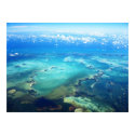 Turquoise Dream Poster - Florida Keys posters by colinbowman Turquoise Dream Poster - Florida Keys posters