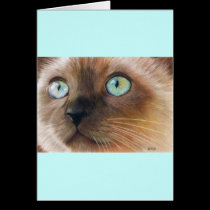 Turquoise Eyes cards