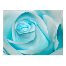 Turquoise Ice Rose Post Card