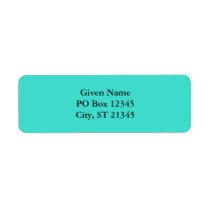 Turquoise Custom Return Address Labels