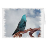 Turquoise linnie greeting cards