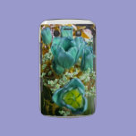Turquoise N Gold Tulips Blackberry Bold case casemate cases