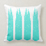 TURQUOISE ocotillo pillow