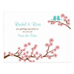 Turquoise & Pink Cherry Blossom Save the Date postcards