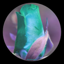 Turquoise Rosebud Flower Photography Sticker Label