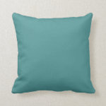 Turquoise seafoam throw pillow