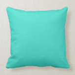 Turquoise Throw Pillows