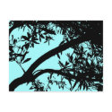 Turquoise Tree Postcard by emele2 Turquoise Tree Postcard