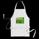 Turtle 1 aprons