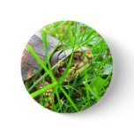 Turtle 1 pin