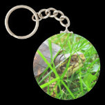 Turtle 1 keychains