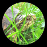 Turtle 1 stickers
