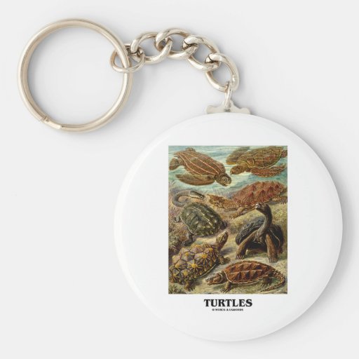 Turtle (7 Different Turtles Artforms Of Nature) Key Chains