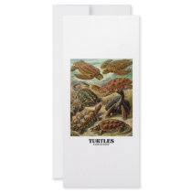 Turtle (7 Different Turtles Artforms Of Nature) rack cards