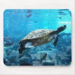 Turtle and fish mouse pads