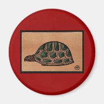 Turtle - Antiquarian, Colorful Book Illustration Magnets