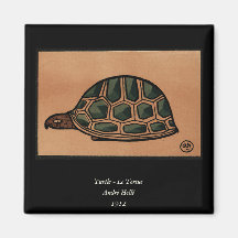 Turtle - Antiquarian, Colorful Book Illustration Fridge Magnets
