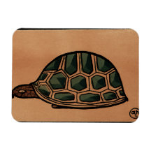 Turtle - Antiquarian, Colorful Book Illustration Vinyl Magnet