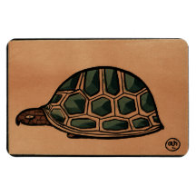 Turtle - Antiquarian, Colorful Book Illustration Magnets
