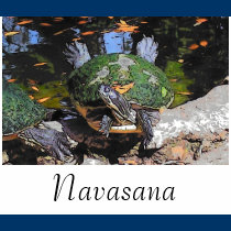 Turtle art, Navasana t-shirts