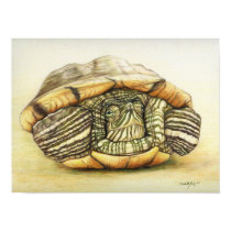 "Turtle" Art Reproduction Print Poster by CharlottesWebArt "Turtle" Art Reproduction Print Poster