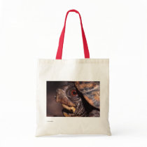Turtle bags