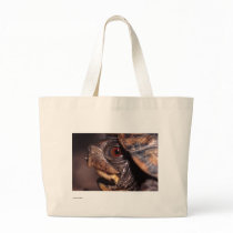 Turtle bags