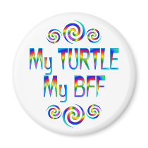 Turtle BFF magnets