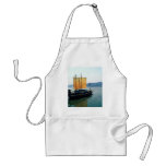 Turtle boat, Yosu Aprons