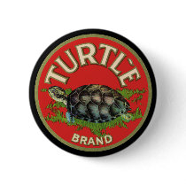 Turtle buttons