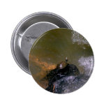 Turtle Button