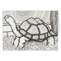 Turtle Card by IArtist40 Turtle Card
