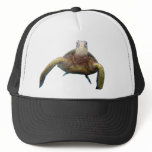 Turtle Chest Hat