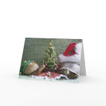 Turtle Christmas cards