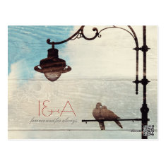 Turtle Doves - love and faithfulness Postcards