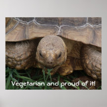 Turtle Eating Grass Proud Vegetarian Photograph Posters