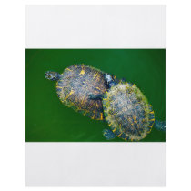 Turtle flyer