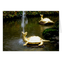 Turtle Fountain Card