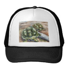 Turtle Friends Hat