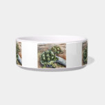 Turtle Friends Cat Water Bowls