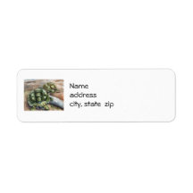 Turtle Friends Return Address Labels