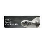 Turtle Fun Custom Return Address Label