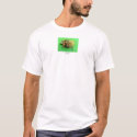 Turtle Graphic water color t-shirts by Hapgood Turtle Graphic water color t-shirts