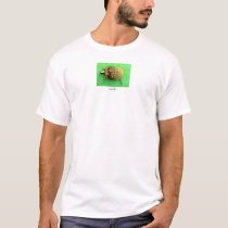 Turtle Graphic water color t-shirts by Hapgood Turtle Graphic water color t-shirts