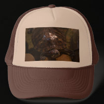 Turtle Hat hats